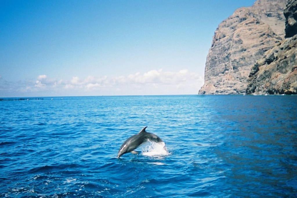 Vacanze Da Sogno Σαν Μιγκέλ ντε Αμπόνα Εξωτερικό φωτογραφία