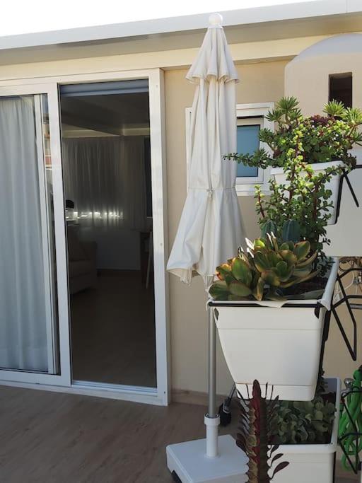 Vacanze Da Sogno Σαν Μιγκέλ ντε Αμπόνα Εξωτερικό φωτογραφία